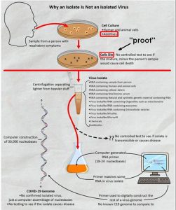 Virus Con