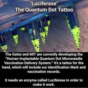 luciferase quantum dot tattoo