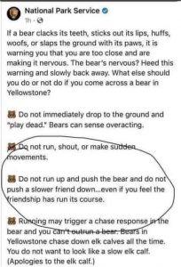 Bear Tips