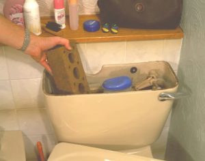 Brick In Cistern