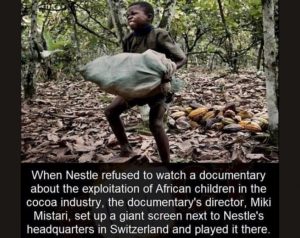 Cacao Slaves