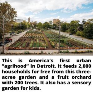 Detroit Agrihood