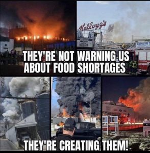 Their Plan In Action