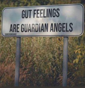 Gut Feelings