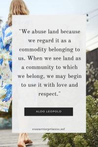 How We View Land