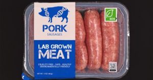 Lab Grown Meat