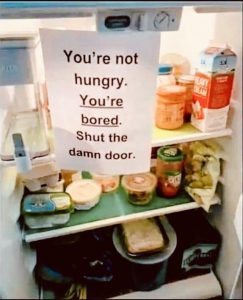 Not Hungry