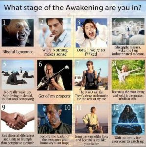 What Stage Are You At?