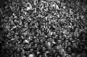 The Masses