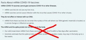 mRNA Vax Does Not Alter DNA