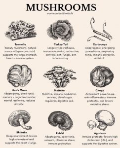9 Mushroom Varieties
