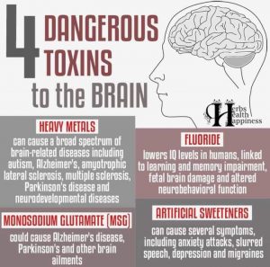 4 Brain Toxins