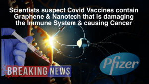 Covid Vaccines Damage The Immune System