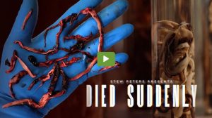 Died Suddenly - The Movie