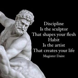 Discipline and Habit