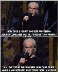 George Carlin How Does Society