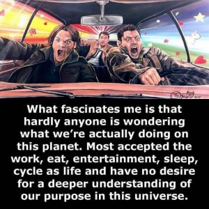 What Is Your Basic Purpose?