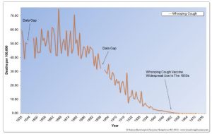 Whooping Cough Deaths