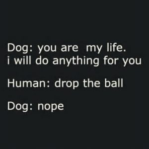 You Are My Life