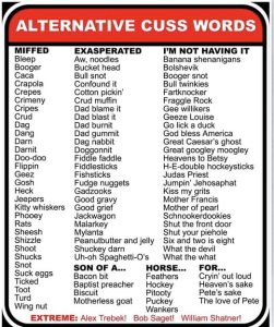 Alternative Swear Words