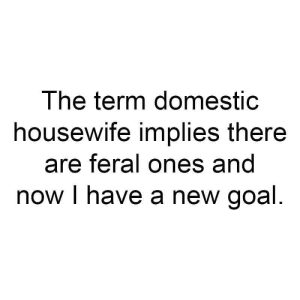 Domestic Housewife