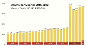 Sudden Unexplained Deaths Germany