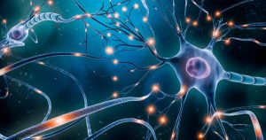 Brain Cells