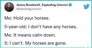 Hold Your Horses