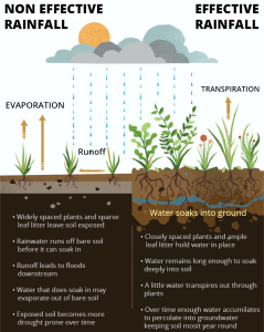  How To Capture Rainfall