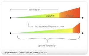 On Increasing Your Health Span