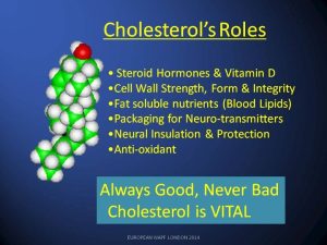 Roles Of Cholesterol