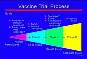 Vaccine Trial Process