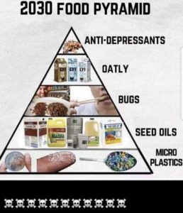 2030 Food Pyramid