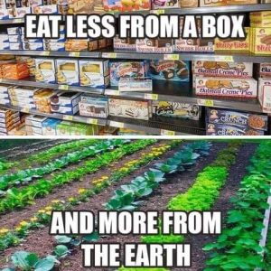 Eat Less From A Box