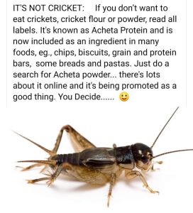 It's Not Cricket!