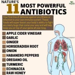 Natural Antibiotics