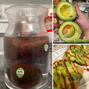 Preserving Avocadoes