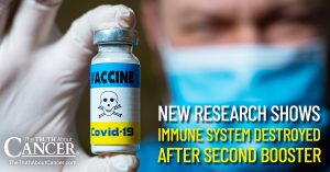 Research Shows Immune System Destroyed After Second Booster