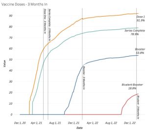 Vaccine Doses 3 Months In