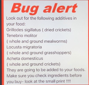 Bug Alert