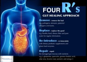 Gut Healing Four Rs