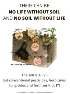 No Life Without Soil