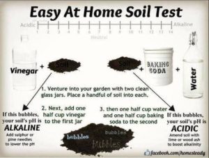 Soil pH Test