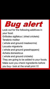 Bug Report