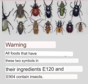 Contain Insects