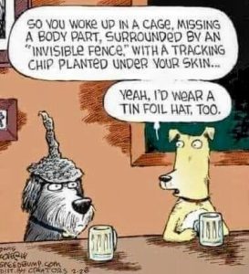 I'd Wear A Tin Foil Hat Too