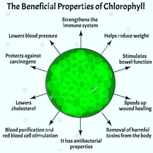 Chlorophyll