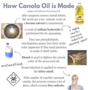 How Canola Oil Is Made