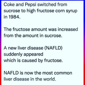 Non-Alcoholic Fatty Liver Disease