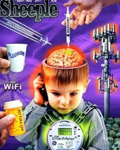 The Assaults On Children